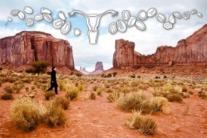 The Journey of Seeds Into the Sacred Monument Valley