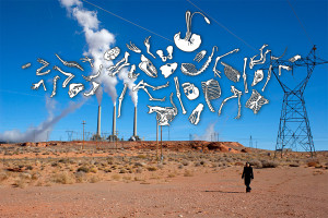 Desert Walk performance, coal power plant